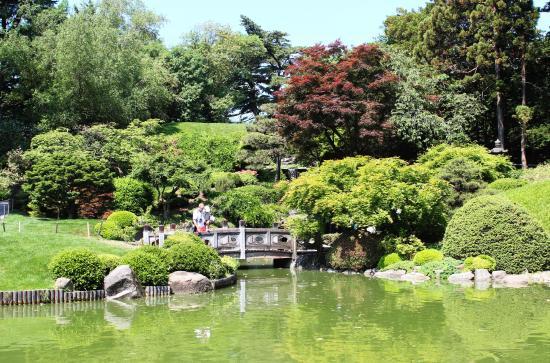 Brooklyns botaniska trädgård